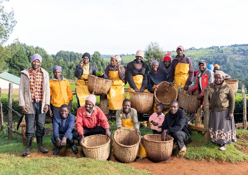 Cup of Joe Limited - Happy Kenyan tea pickers posing for a photo